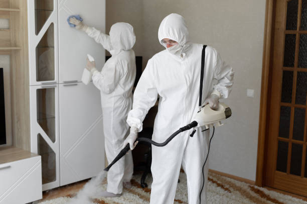 Certified Mold Removal in Vero Beach South, FL